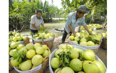 Việt Nam dự kiến xuất khẩu nông sản hơn 26 tỷ USD vào 2030