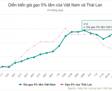 Giá gạo Việt lập đỉnh mới