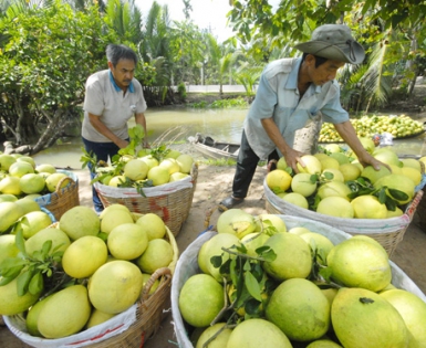 Việt Nam dự kiến xuất khẩu nông sản hơn 26 tỷ USD vào 2030